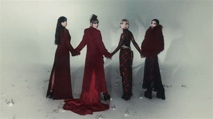 2NE1 (Band) - Perfil dos membros, fatos, wiki, conquistas, valor líquido de 2024 (atualizado)
