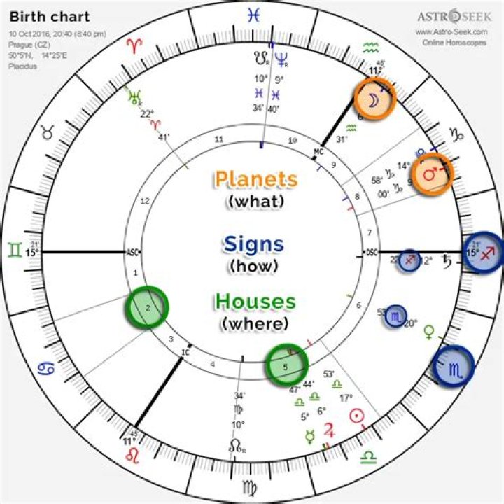 Astrology Birth Chart of Mike Mohede (World Music Singer) 2024