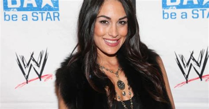Brie Bella Net Worth 2024: What Is The WWE Star Worth?
