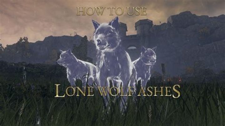 ¿Cómo se usan las cenizas de Lone Wolf en Elden Ring? – Celebrity.fm