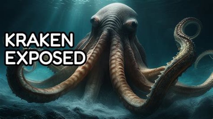 Does Kraken really exist? – Celebrity.fm – #1 Official Stars, Business & People Network, Wiki, Success story, Biography & Quotes