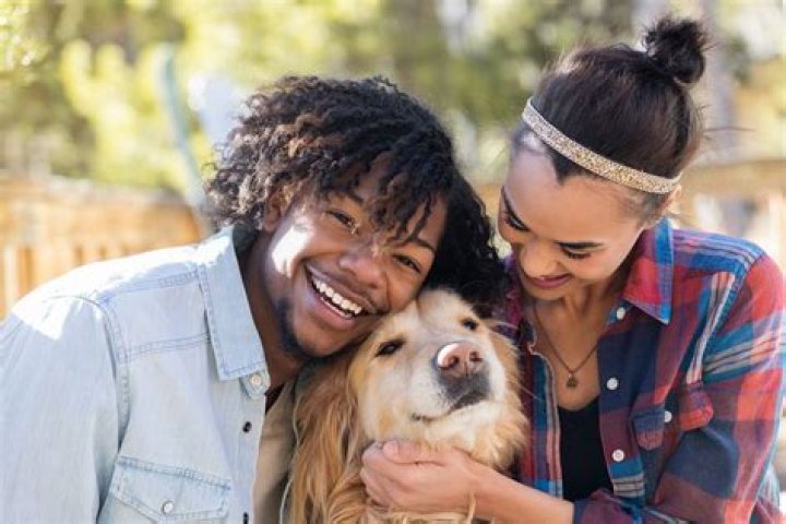 
Dog Cuddles Help People Feel More Sociable and Less Stressed, Study Finds 