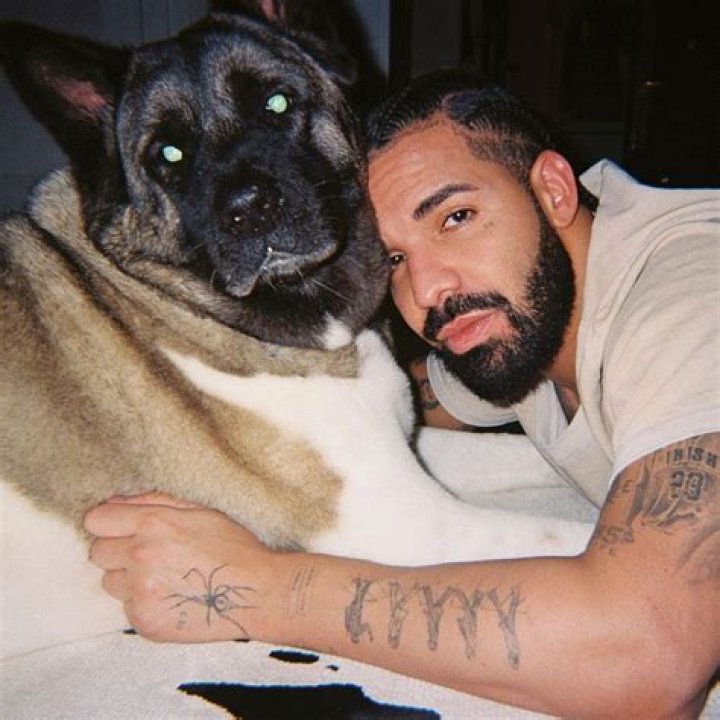 Drake Declares That We're Officially In "Scary Hours" Ahead Of "For All The Dogs"
