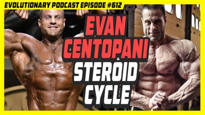 Evan Centopani biografía, edad, altura, esposo, net worth, familia