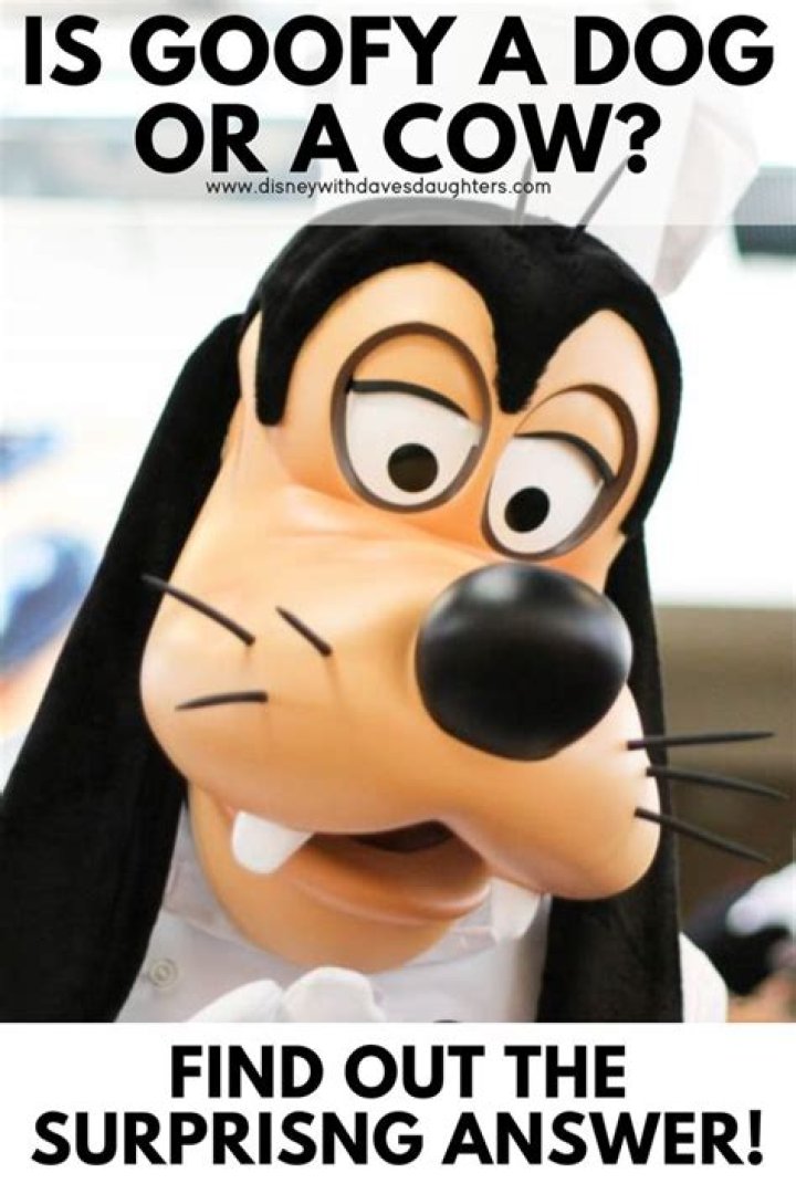 Is Goofy a cow or a dog? – Celebrity.fm – #1 Official Stars, Business & People Network, Wiki, Success story, Biography & Quotes