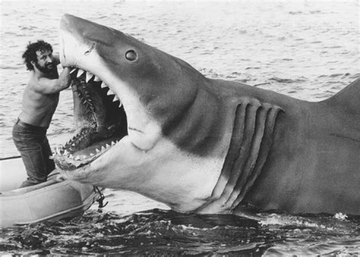 Is Jaws 2 the same shark? – Celebrity.fm – #1 Official Stars, Business & People Network, Wiki, Success story, Biography & Quotes