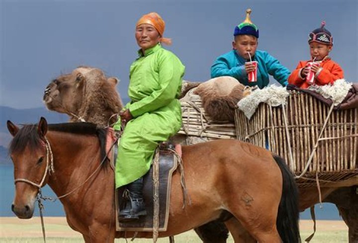 Life In The Mongolian Steppe
