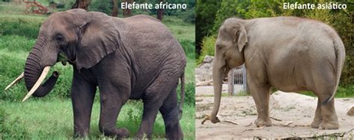 ¿Por qué Ant y Christina se separaron?