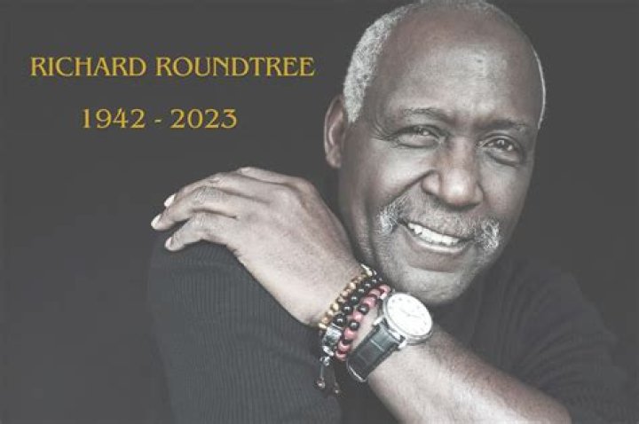 Richard Roundtree's 7 Best Movies & TV Shows