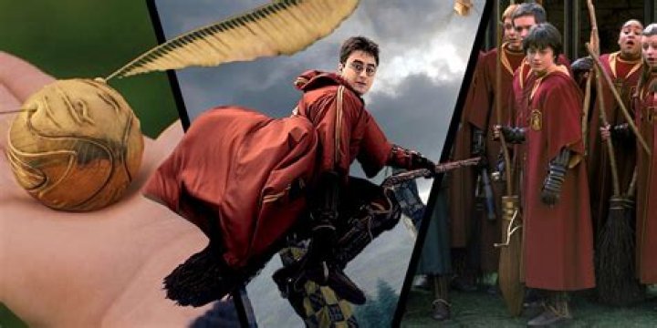 What mental illnesses did Harry Potter have?