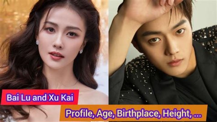 Xu Lu Biography, Age, Height, Husband, Net Worth, Family