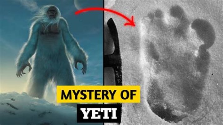 Yeti Evidence That's Captivating For Believers And Skeptics